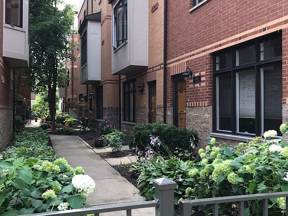 Lush plants and gorgeous hydrangeas.