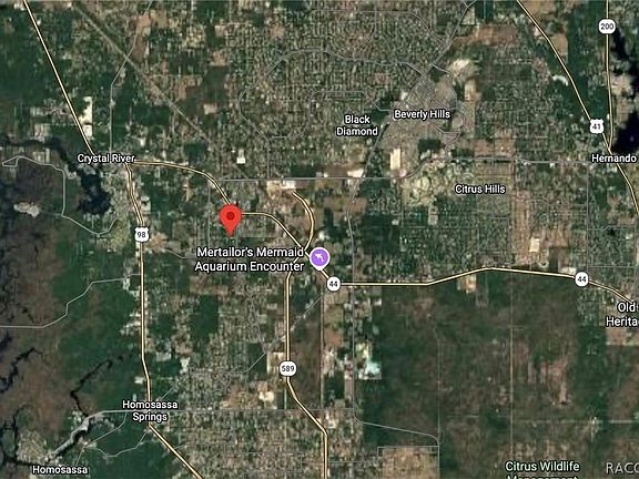 3rd image of 589 N Palm Ridge Ave