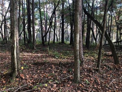 3 Sunset Cv, Ellijay, GA, 30540