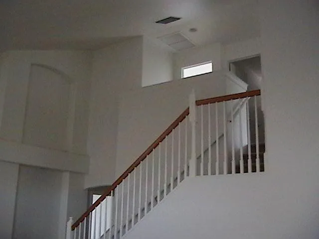 Kohi St — Photo 8