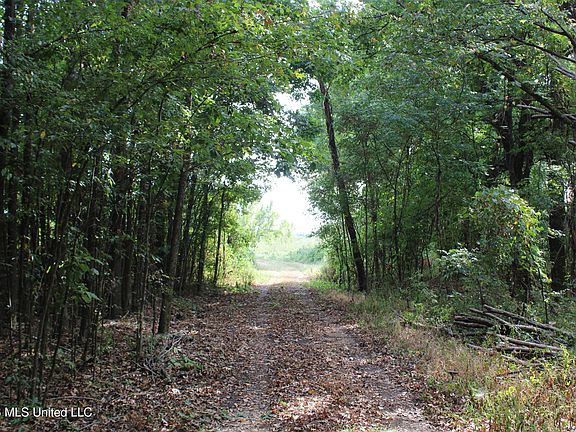 5th image of 13 Star Landing Rd