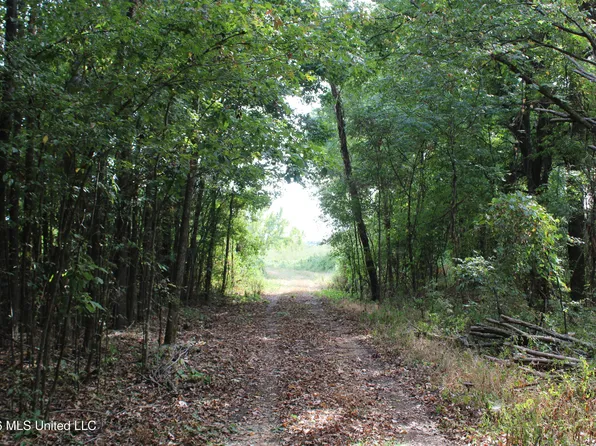3 Horn Lake Rd, Nesbit, MS 38651