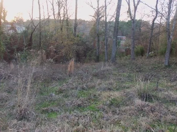 Florey Lake Rd, Kilgore, TX 75662