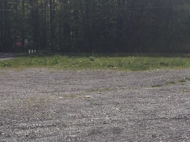 2nd image of 513 Marwood Rd