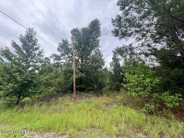 Tbd Boykin Lane, Laurinburg, NC 28352