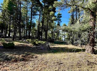 Lot 105 Calle de los Indios, Angel Fire, NM 87710
