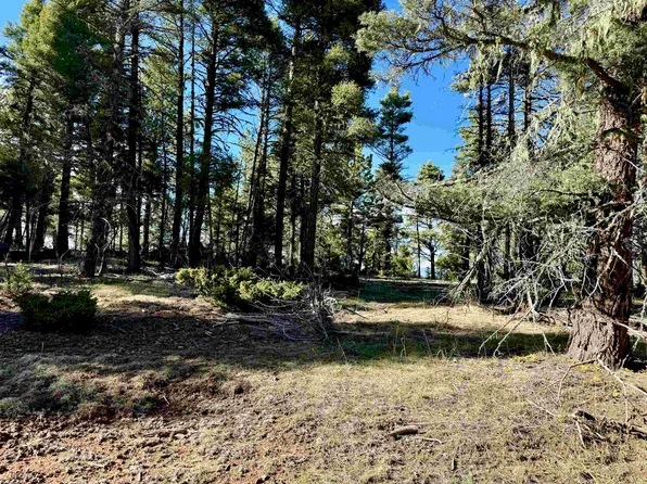 Lot 105 Calle de los Indios, Angel Fire, NM 87710