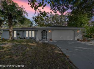 2496 Mandrell Ave, Spring Hill, FL 34608