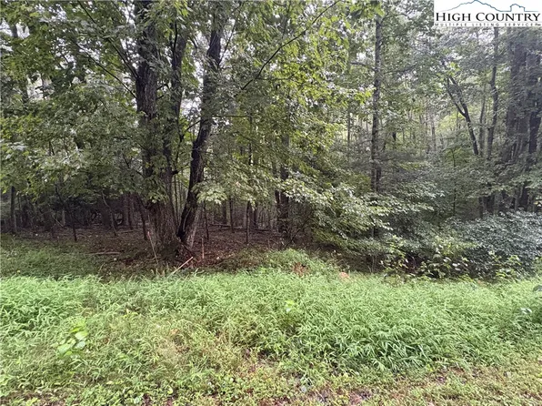 TBD High Valley Way, Laurel Springs, NC 28644
