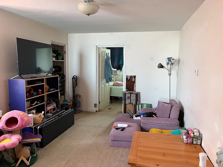 446 Pearl St — Photo 5