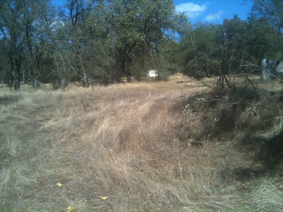 2nd image of 101 Loretta Ln