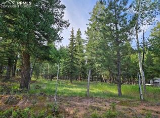 Rolling Park Dr, Woodland Park, CO 80863