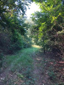 1201 Cr, Rusk, TX, 75785