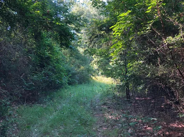 1201 Cr, Rusk, TX 75785