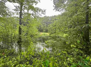 PARCEL 1 Tobias Rd, Elmira, MI 49730
