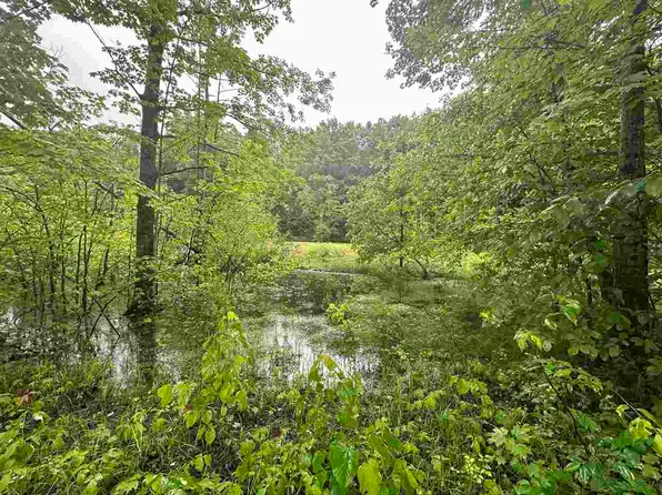 PARCEL 1 Tobias Rd, Elmira, MI 49730