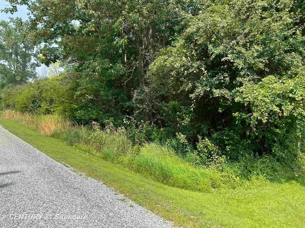 0 Townline Rd, Birch Run, MI 48415
