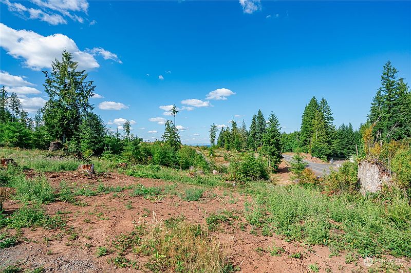 3rd image of 0 S Silver Lake Lot #8 Road