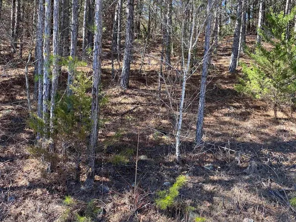 LOT 3 Alyson Ave NW, Fort Payne, AL 35968