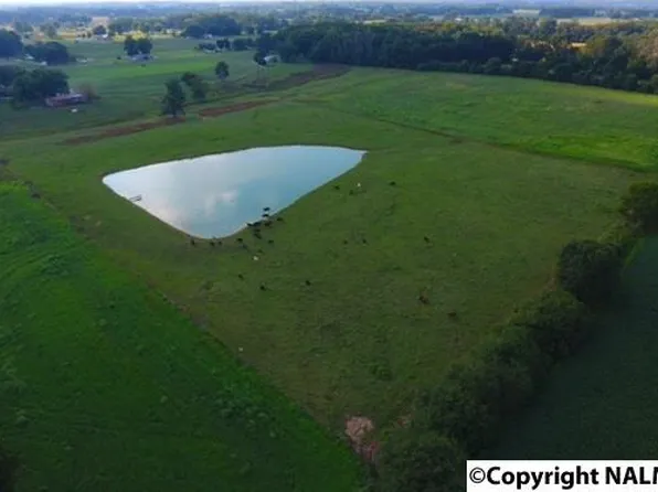 463 Winfrey Rd, Boaz, AL 35957