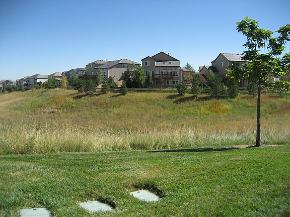 Open space privacy buffer to the backyard