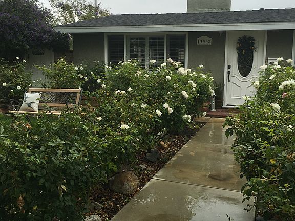 Rose Pathway