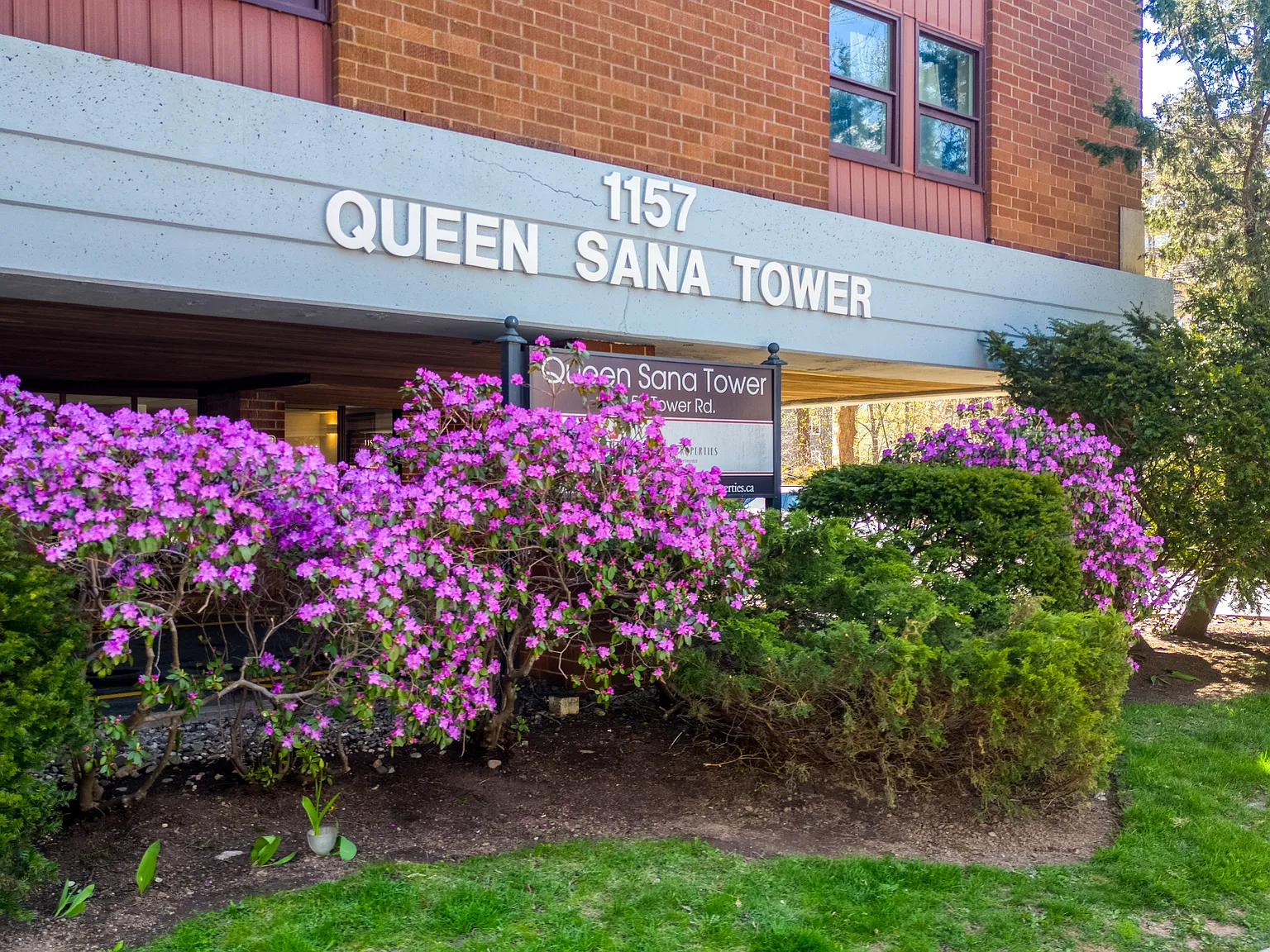 Queen Sana Tower — Photo 2