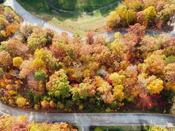 A 7 Winterberry Dr, Clayton, GA 30525