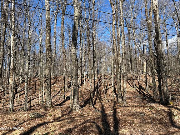4th image of LOT-2230R Saw Mill Rd