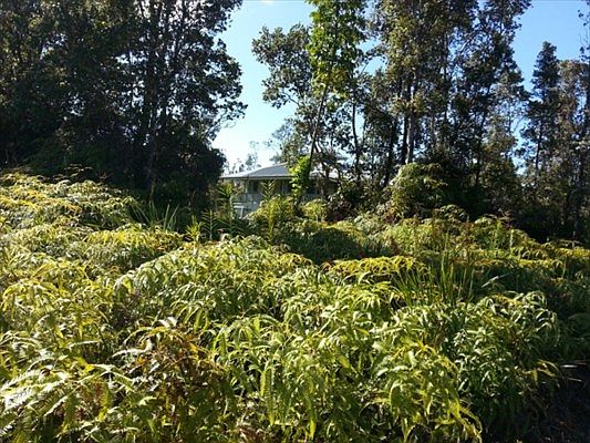 2nd image of Pomaikai St Lot 61