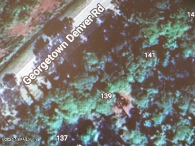 139 GEORGETOWN DENVER Road, Georgetown, FL, 32139