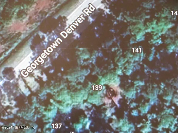 139 GEORGETOWN DENVER Road, Georgetown, FL 32139