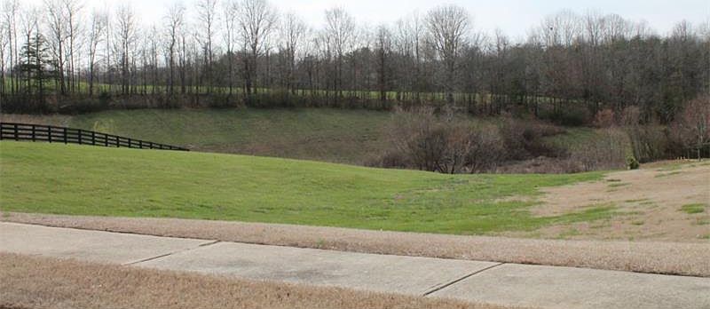 2nd image of 441 Brown Dr