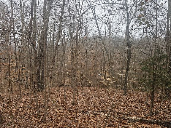 3rd image of 0 Elgin Rd