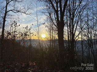 899 Hyacinth Dr, Clyde, NC 28721