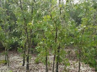 152 Easy St, Florahome, FL 32140