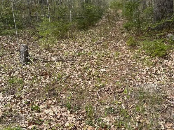 Lot 3 Morse District Road, Steuben, ME 04680