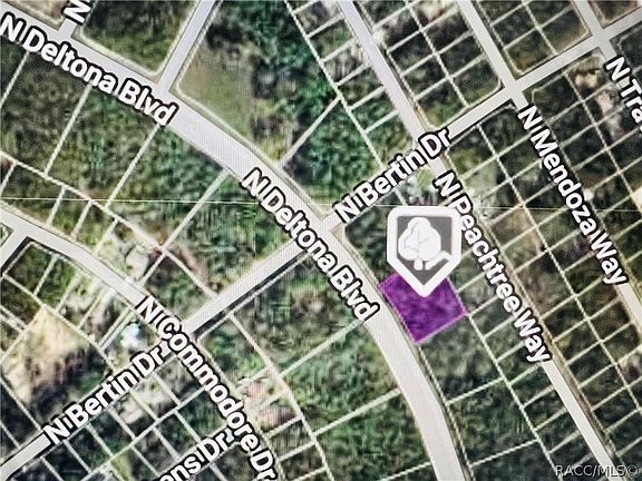 2nd image of 9201 N Deltona Blvd