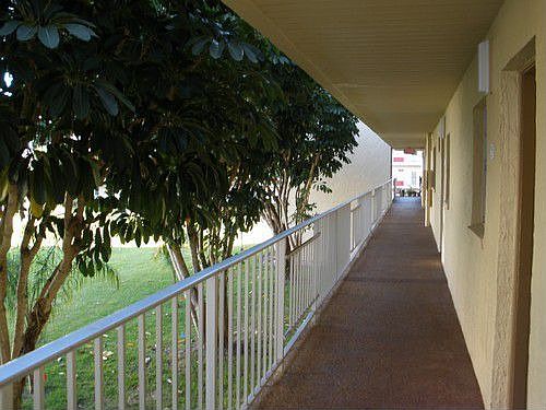Cat walk in front of condo
