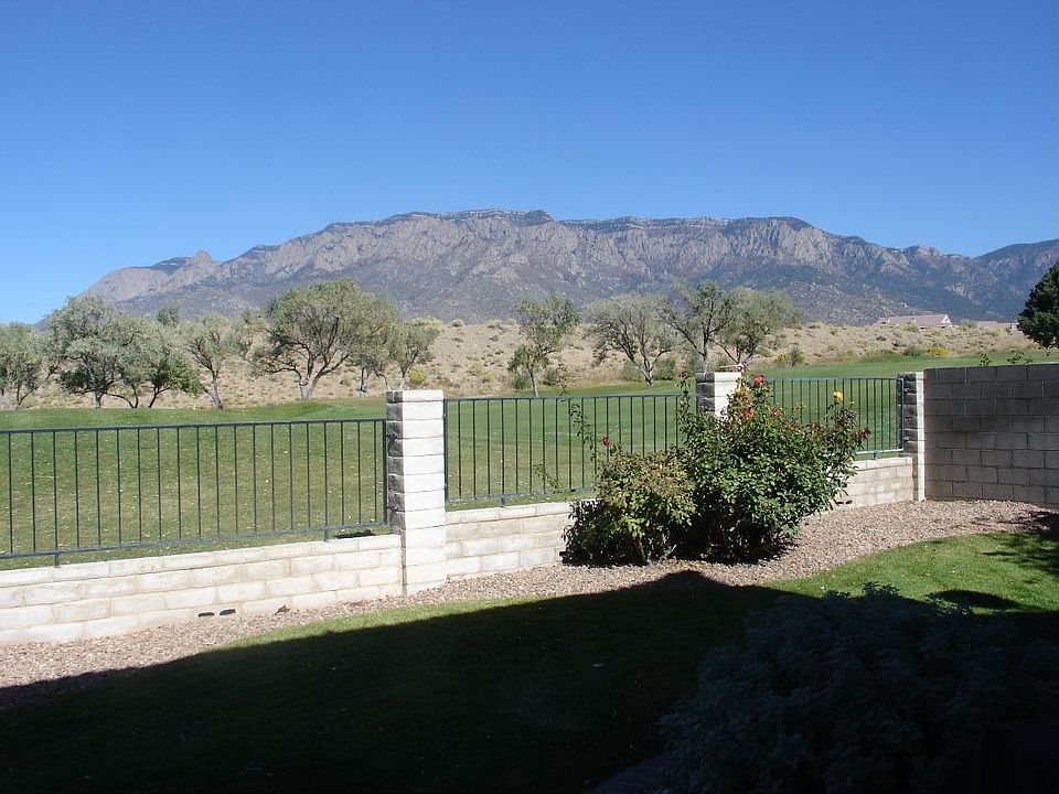 Backyard View