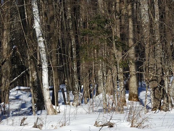 2nd image of N8357 Down River Rd