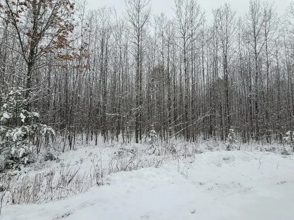 6 Pinewood Ct, Lac Du Flambeau, WI 54538