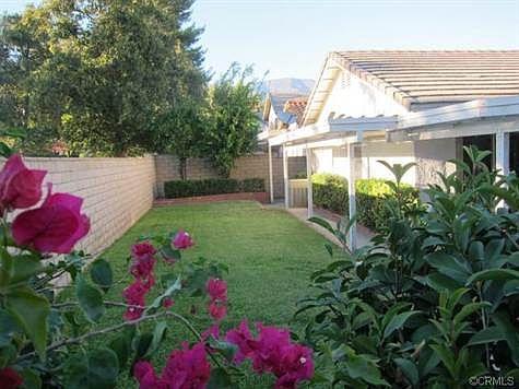 Beautifully Manicured Yards!