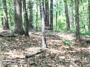 0 Maple Park Dr TRACT 3, Winder, GA 30680