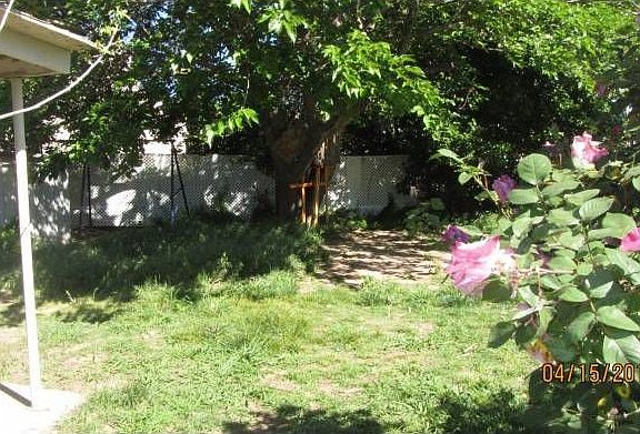 back yard