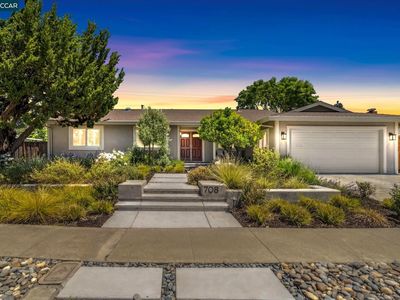 708 Citrus Ave, Concord, CA, 94518