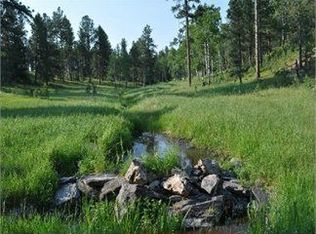 12346 Nemo Rd, Nemo, SD 57759