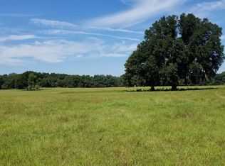 13675 NE 21st Avenue Rd, Citra, FL 32113