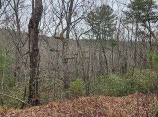 361 Vista Dell Ln, Tallulah Falls, GA 30573