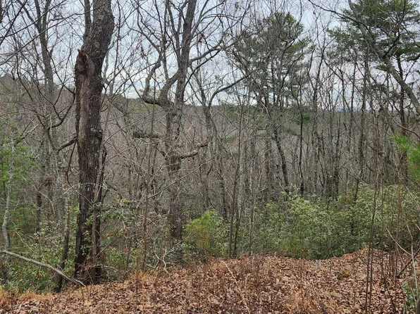 361 Vista Dell Ln, Tallulah Falls, GA 30573